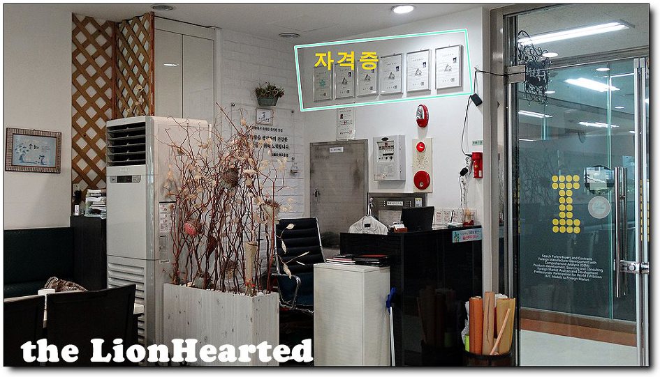 섬들애 이미지