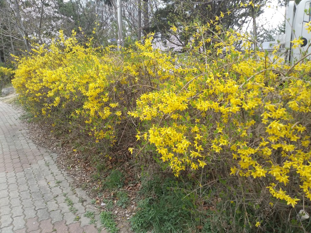 19.4.9(화)