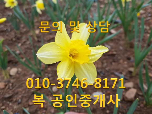 ♣﻿대전 서구 내동 밝은 사무실 임대 , 대전도안동 소호사무실임대 유성사무실임대 