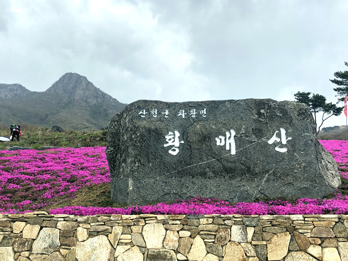 원본이미지(클릭)