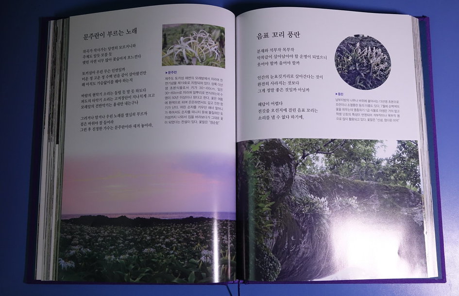 제주도 야생화 시집을 펴내며