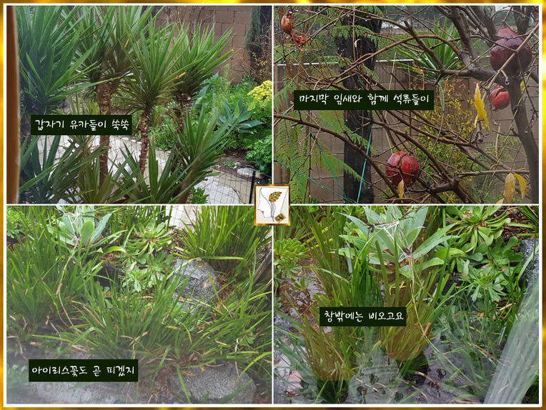 30 년 됐네