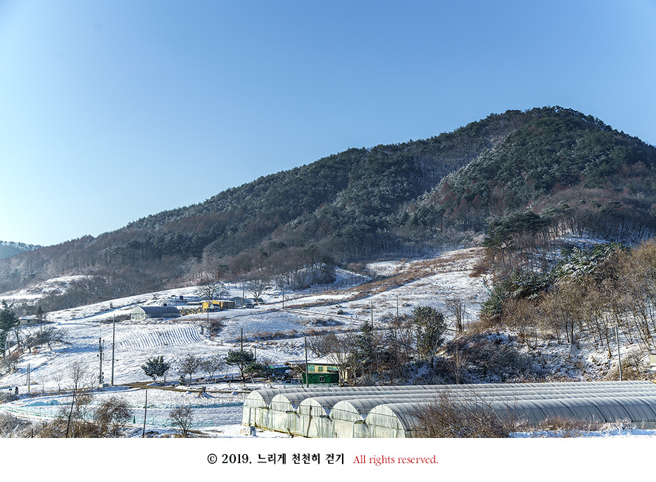 동강 생태체험관 앞 너른 바위에 피어있는 동강할미꽃
