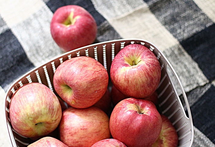 먹는 이야기