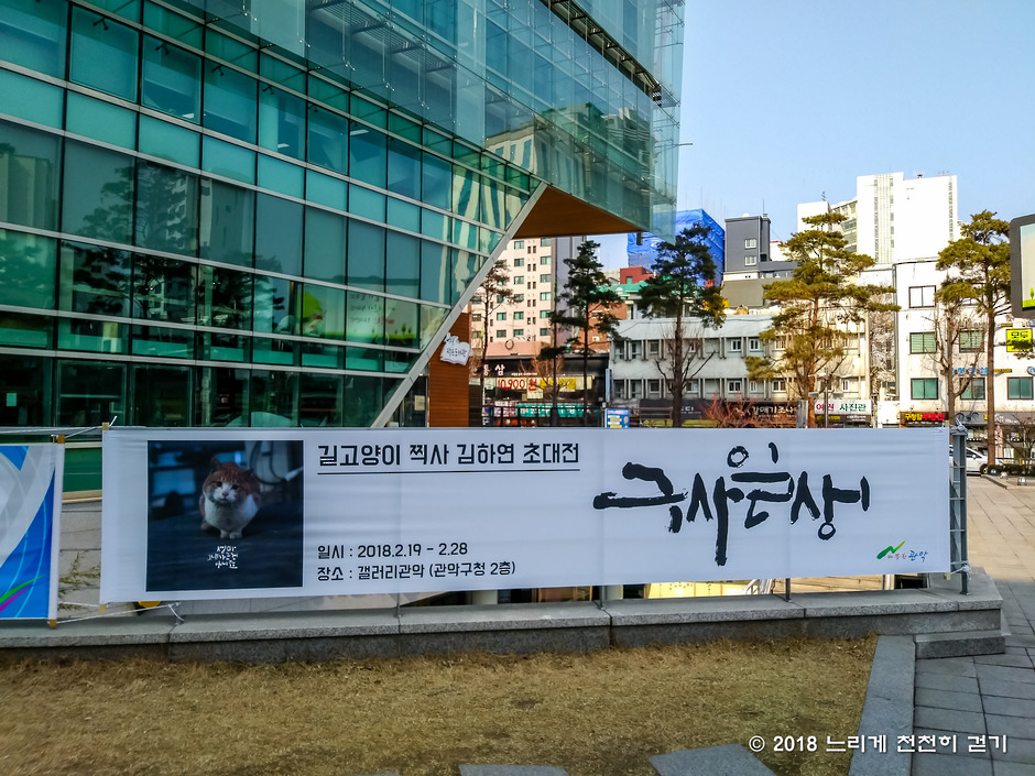 관악구청에서 열리는 길고양이찍사 김하연 사진작가의 구사일생 사진이야기~