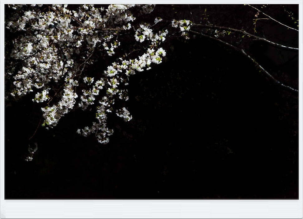 어제 저녁무렵에..