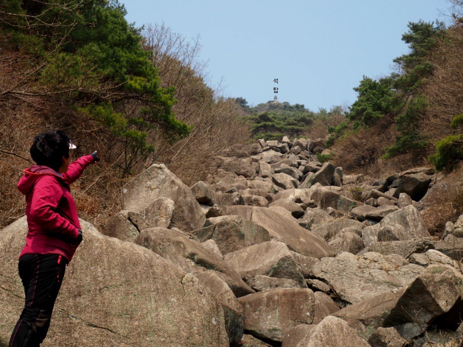 비슬산(琵瑟山) 암괴류((岩塊流) 트레킹