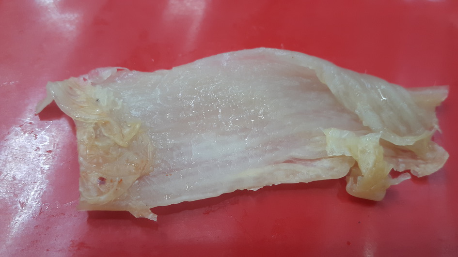  ( 2019 - 제 24호 )  부산 동래구 맛집 [ 일만오천횟집의 돌솥밥 상차림과 봄도다리회 ]