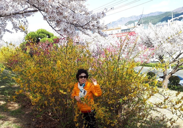 2019.삼락공원. & 청도와인동굴