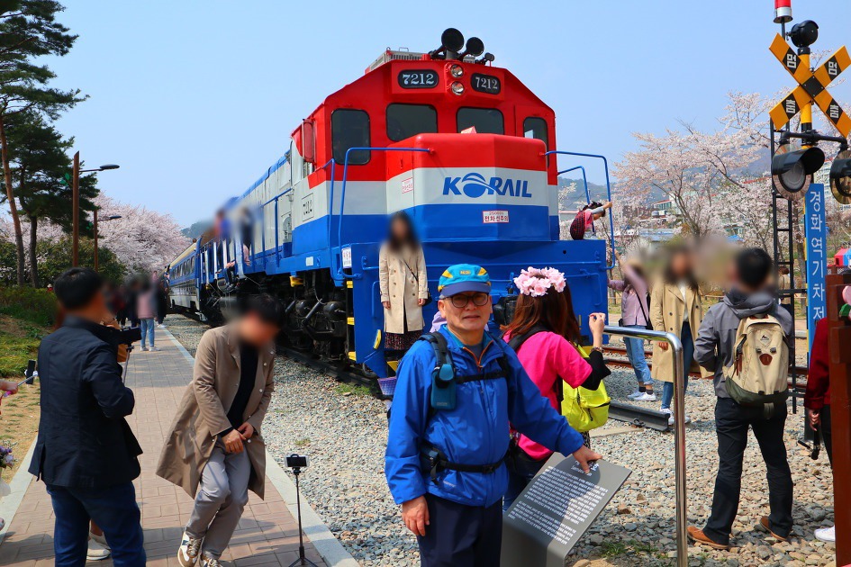 진해벚꽃명소인 경화역