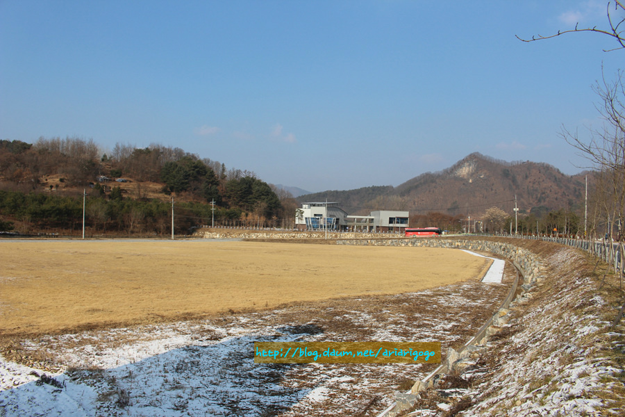 골뱅이의 꿈 이미지