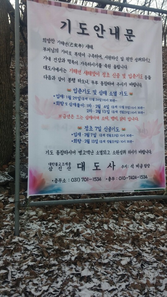 "靑山과 蒼空"은 "뫼닮"에게 말합니다.