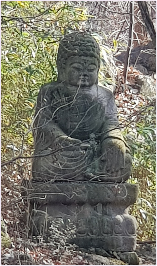 가버린 가을,장안사의 풍경