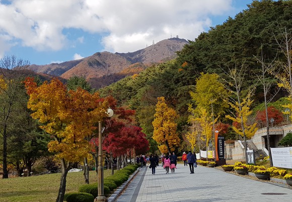 용문사 이미지